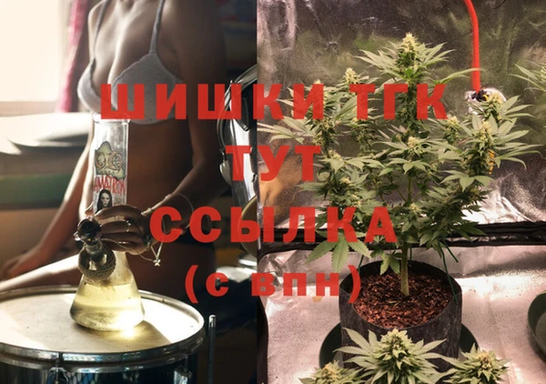 дмт Арсеньев