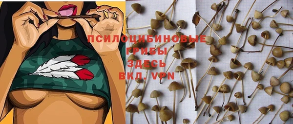 дмт Арсеньев