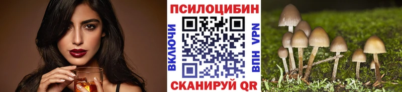 Купить закладки  Павловский Посад  Галлюциногенные грибы MAGIC MUSHROOMS 